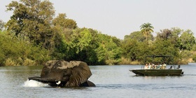 Livingstone, Victoria Falls, and Chobe